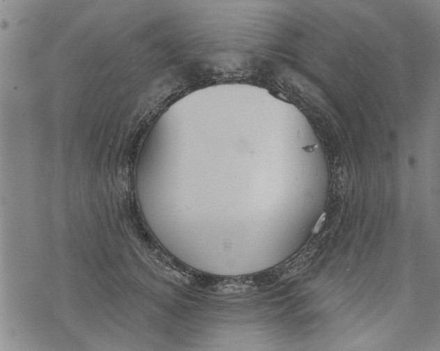 X0000073890756200609082123