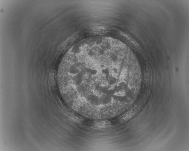 X0000073890757200609082123