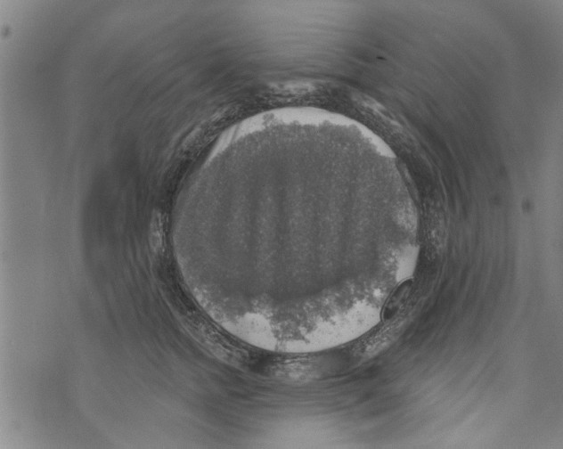 X0000073890758200609082123