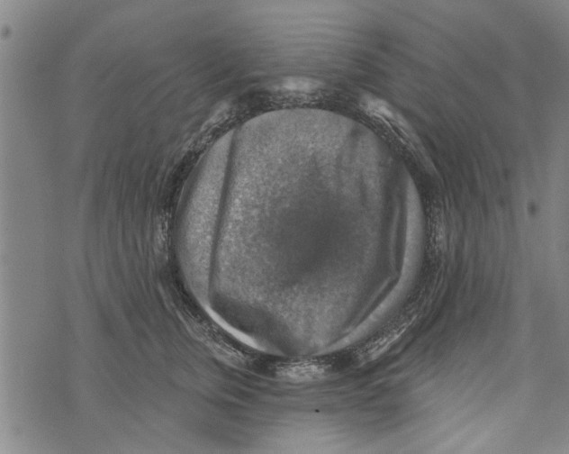 X0000073890759200609082123