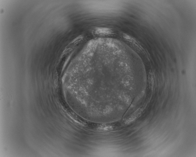 X0000073890760200609082123