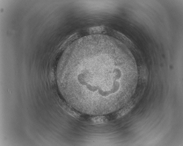 X0000073890761200609082123