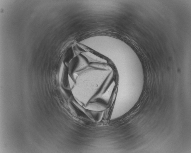 X0000073890762200609082123