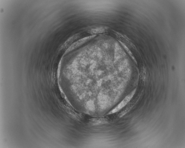 X0000073890763200609082123