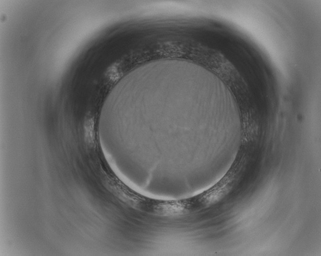 X0000073890765200609082123