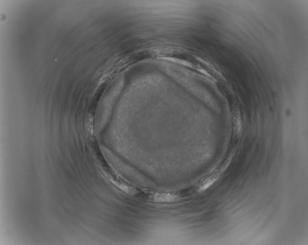 X0000073890766200609082123