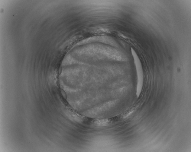 X0000073890767200609082123