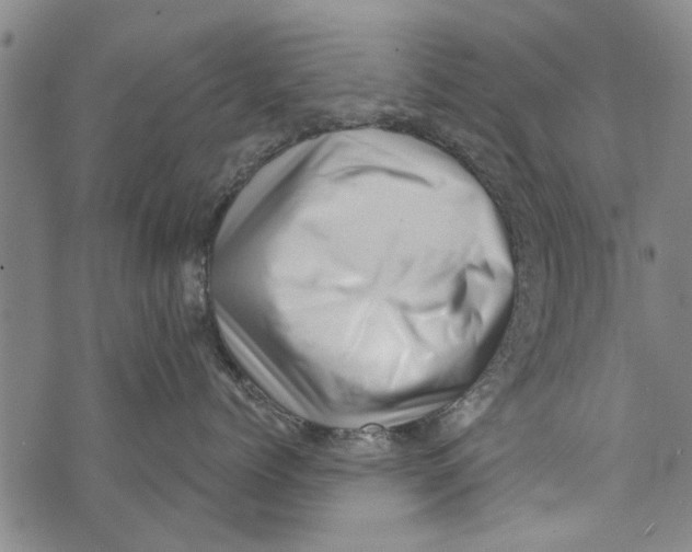 X0000073890768200609082123