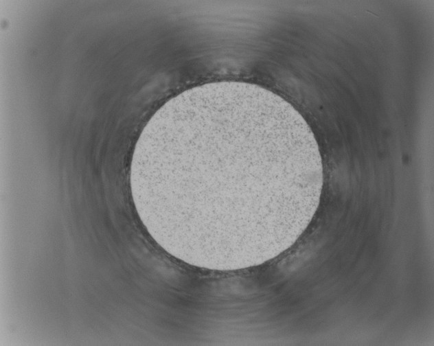 X0000073890769200609082122