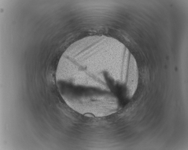 X0000073890770200609082122