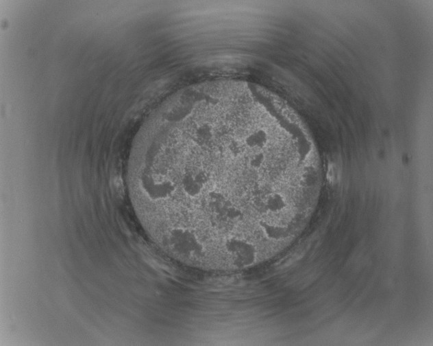 X0000073890771200609082122