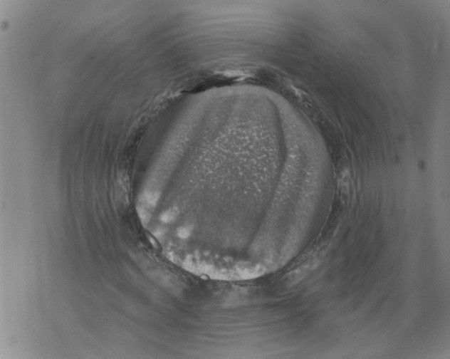 X0000073890772200609082122