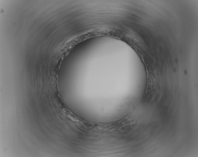 X0000073890773200609082122