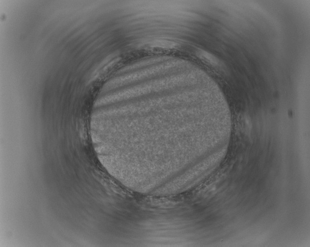 X0000073890774200609082122