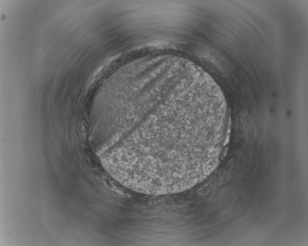 X0000073890776200609082122