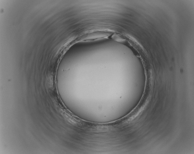 X0000073890777200609082122