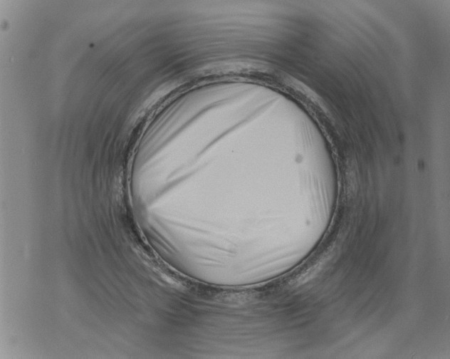 X0000073890778200609082122