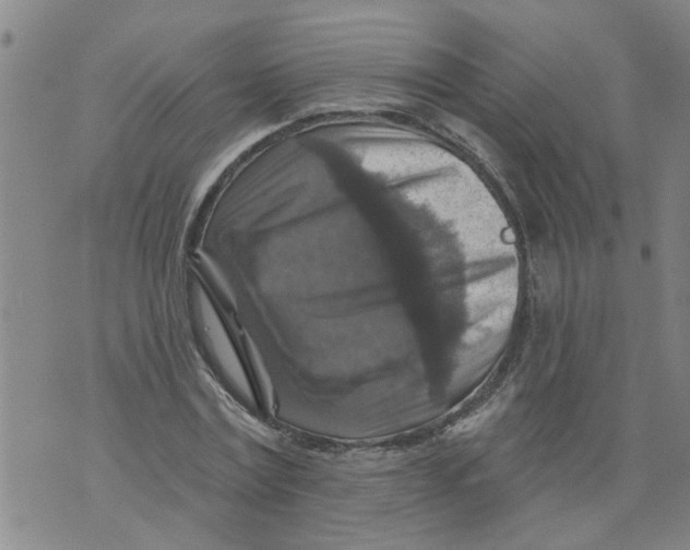 X0000073890779200609082122