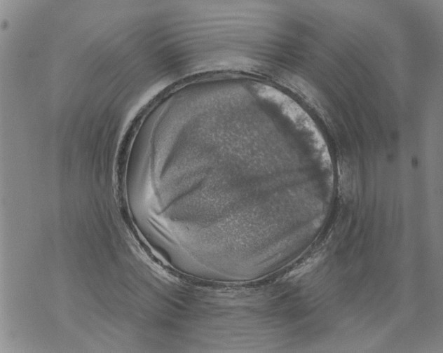 X0000073890780200609082122