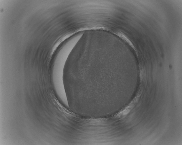 X0000073890781200609082122