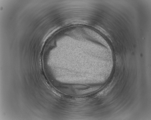 X0000073890782200609082122