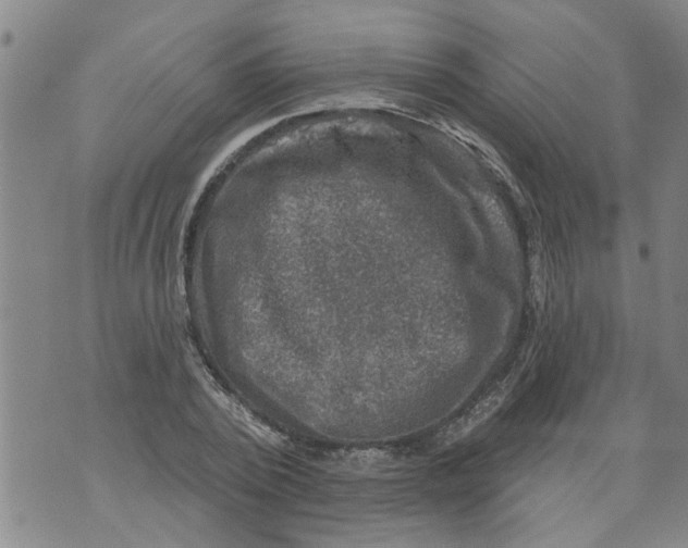 X0000073890784200609082122