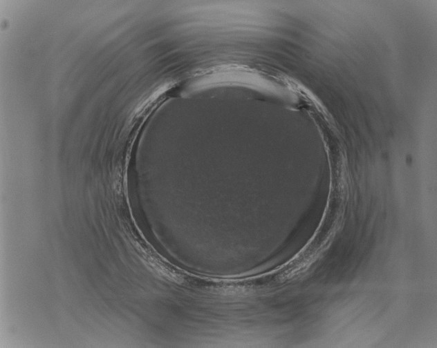 X0000073890785200609082122