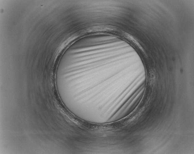 X0000073890786200609082122