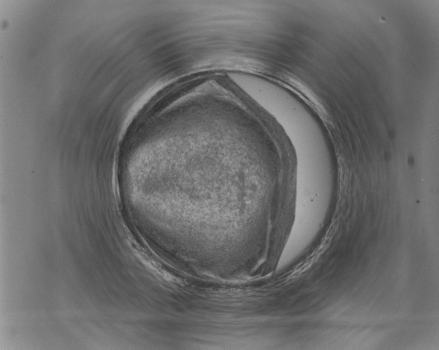 X0000073890788200609082122