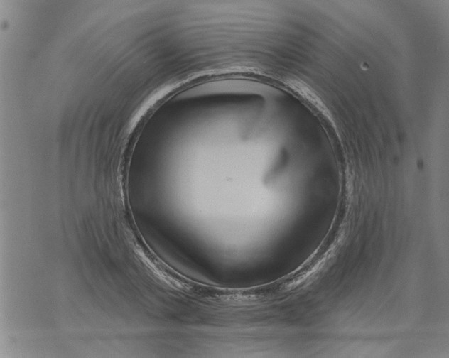 X0000073890789200609082122