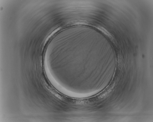 X0000073890790200609082122