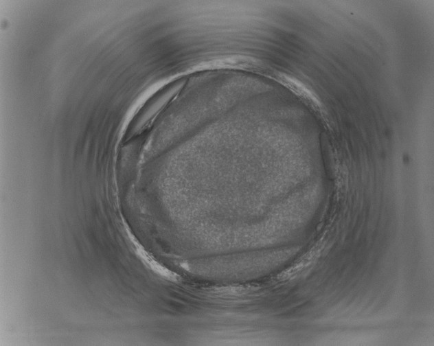 X0000073890792200609082122