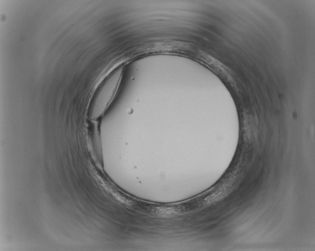 X0000073890794200609082122