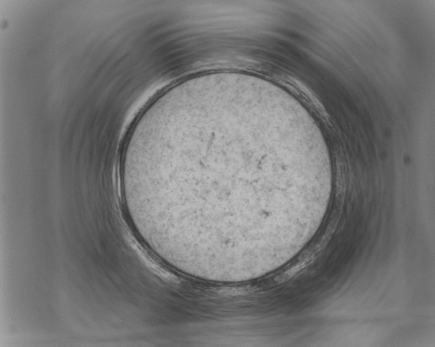 X0000073890796200609082121