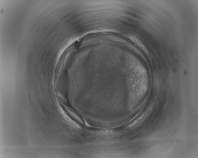 X0000073890797200609082121