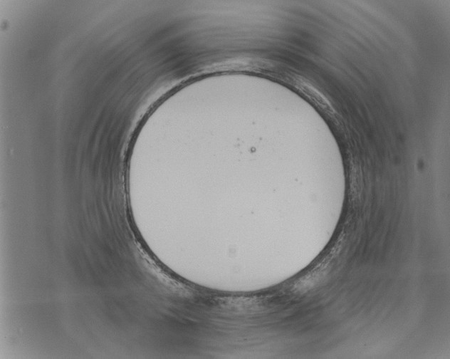 X0000073890800200609082121