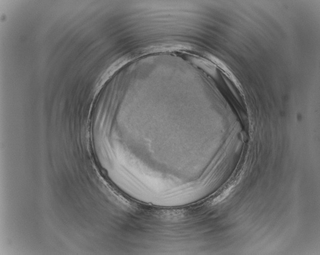 X0000073890802200609082121