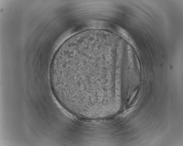 X0000073890803200609082121