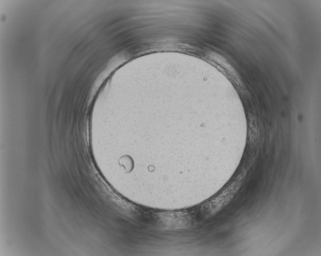 X0000073890804200609082121