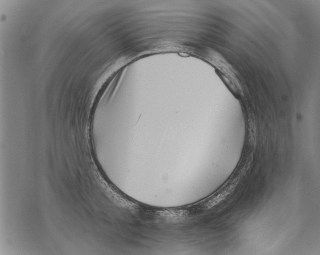 X0000073890805200609082121