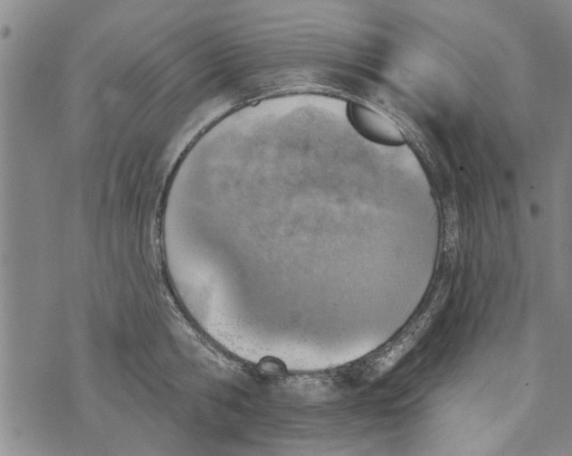 X0000073890806200609082121