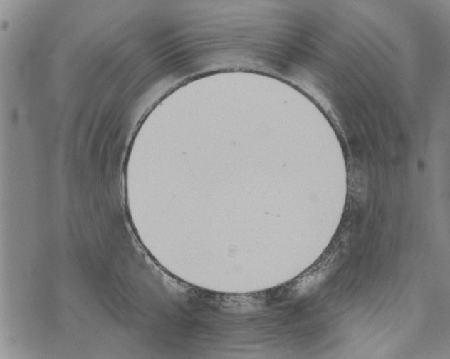 X0000073890807200609082121