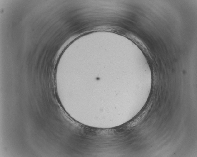 X0000073890808200609082121