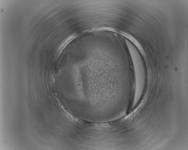 X0000073890809200609082121