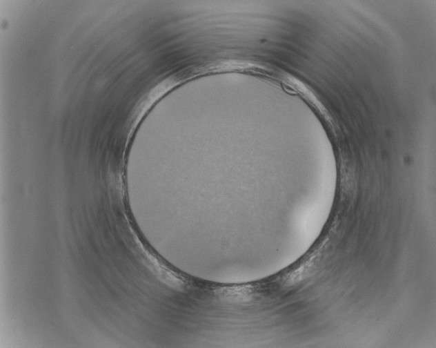 X0000073890810200609082121