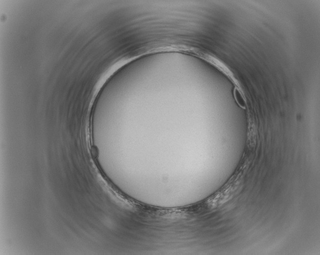 X0000073890811200609082121