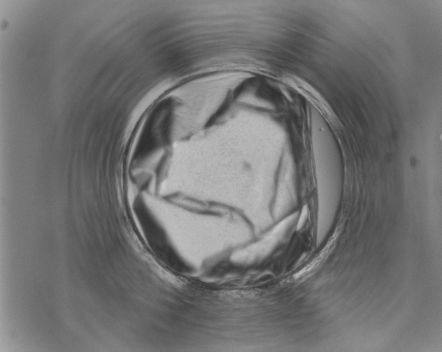 X0000073890812200609082121