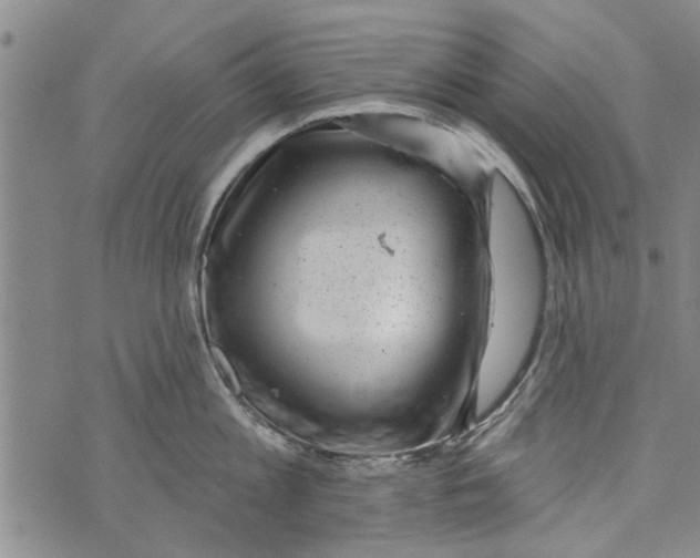 X0000073890813200609082121