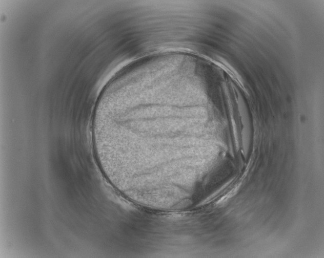 X0000073890814200609082121