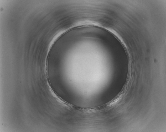 X0000073890815200609082121